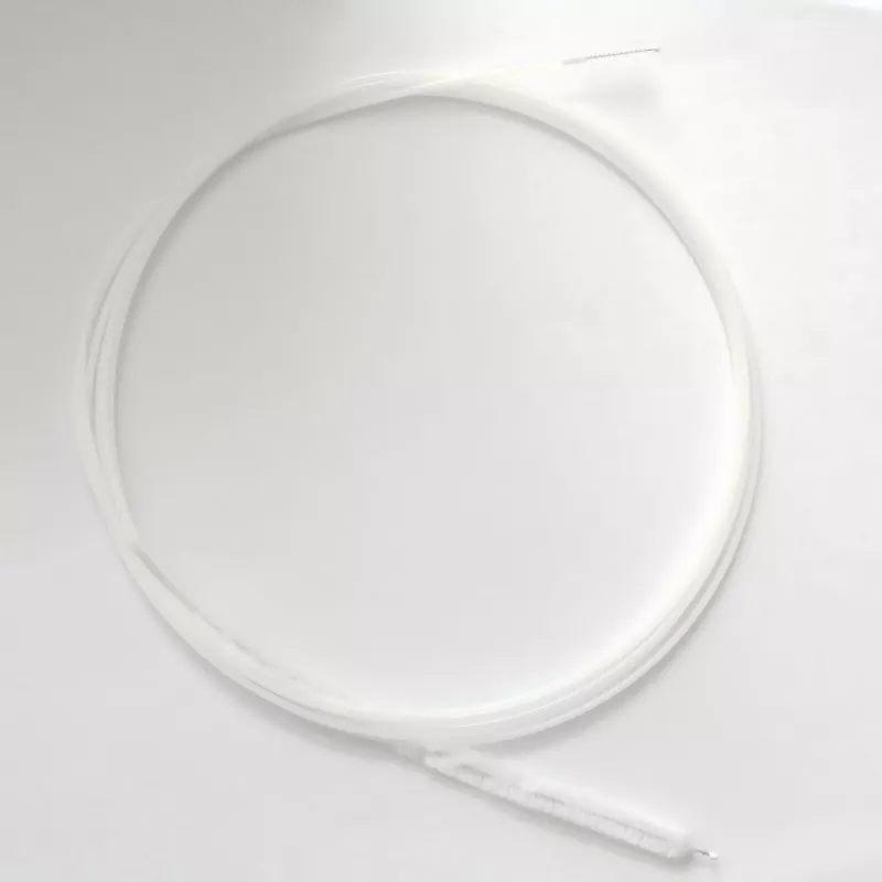 Perie endoscopică duodenală